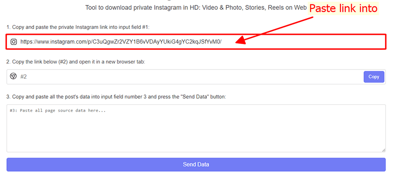 Private Instagram Downloader 2